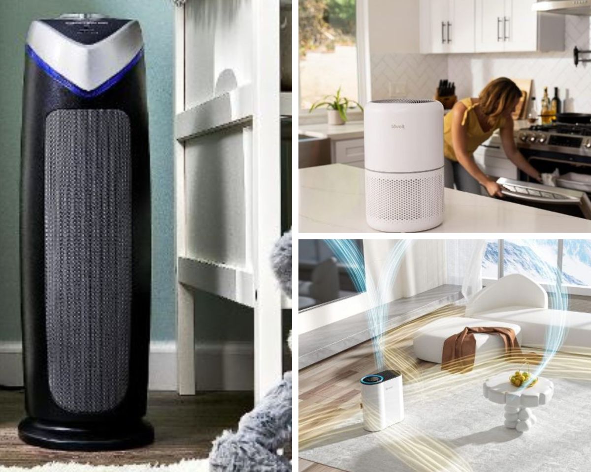 Boost Immunity With an Air Purifier: Fewer Pollutants, Better Sleep!