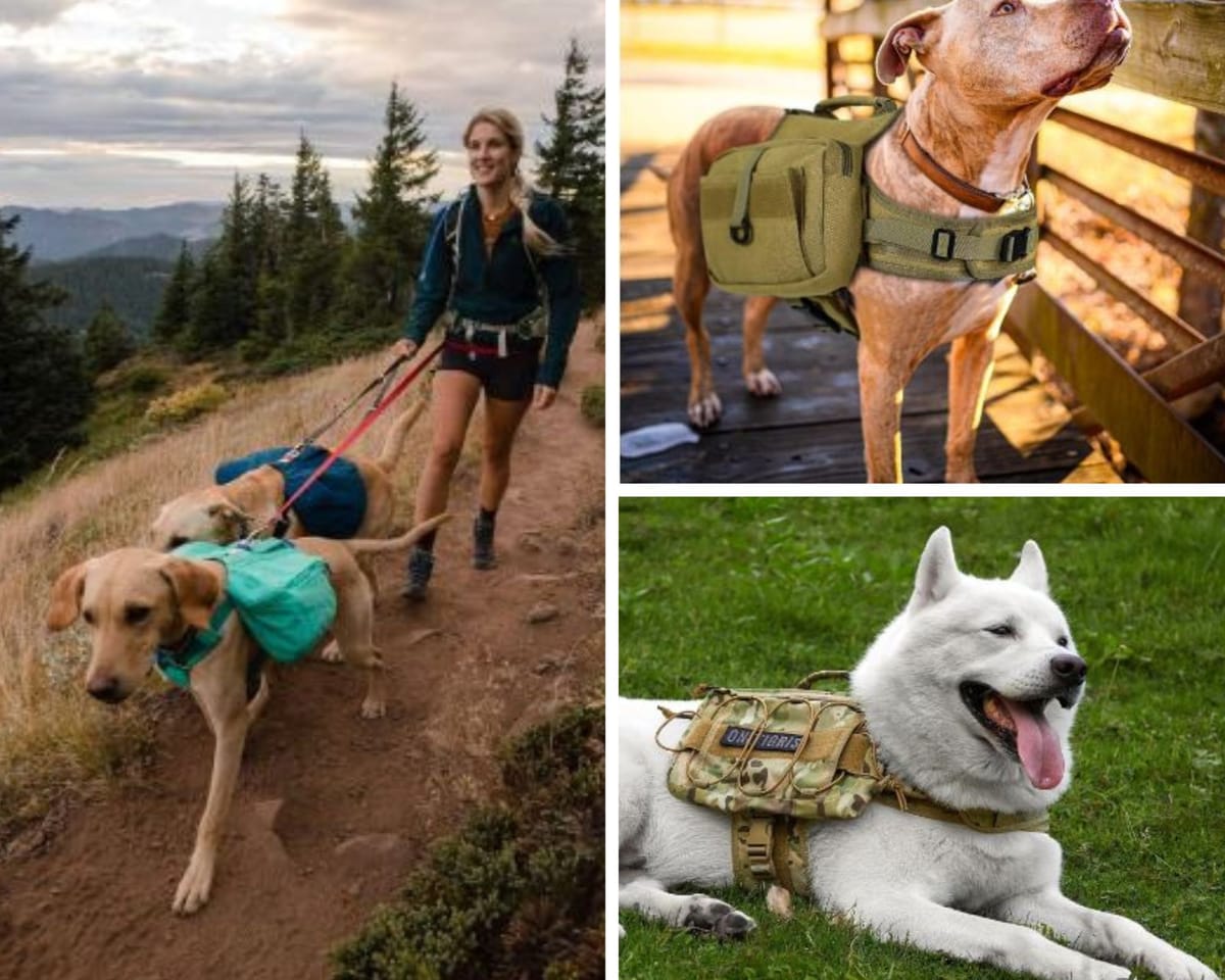 Versatile Dog Backpacks: Carry Essentials, Aid Walks & Hikes!