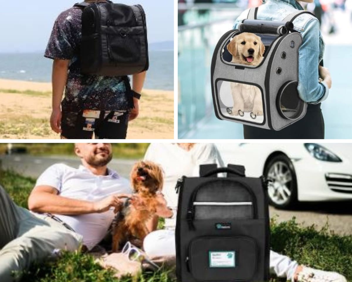 What to Know About Picking a Dog Carrier Backpack for Your Pooch!